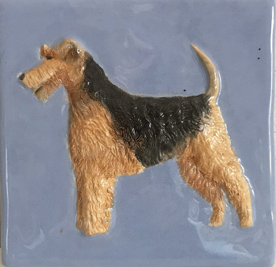 Ceramic feature tile of a