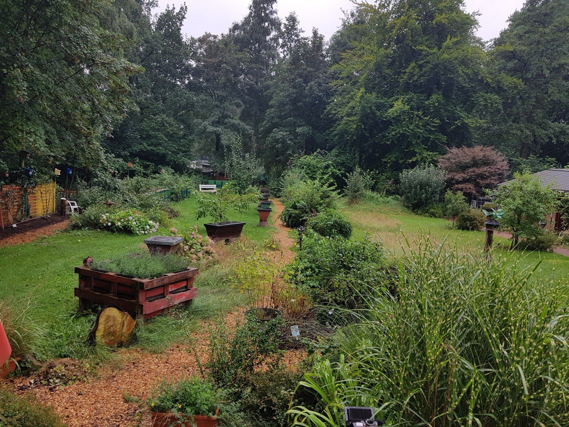Unsere Arbeit ist auf Langfristigkeit ausgerichtet.Eingesetzte Spendengelder tragen nachhaltig zum Erhalt unserer biologischen Vielfalt bei.