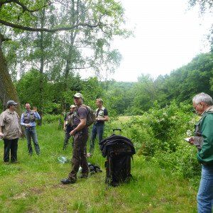 Honig als Mittel in der Wundheilung