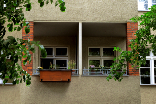 Könnte Dein Bienenvolk sein, Oder?