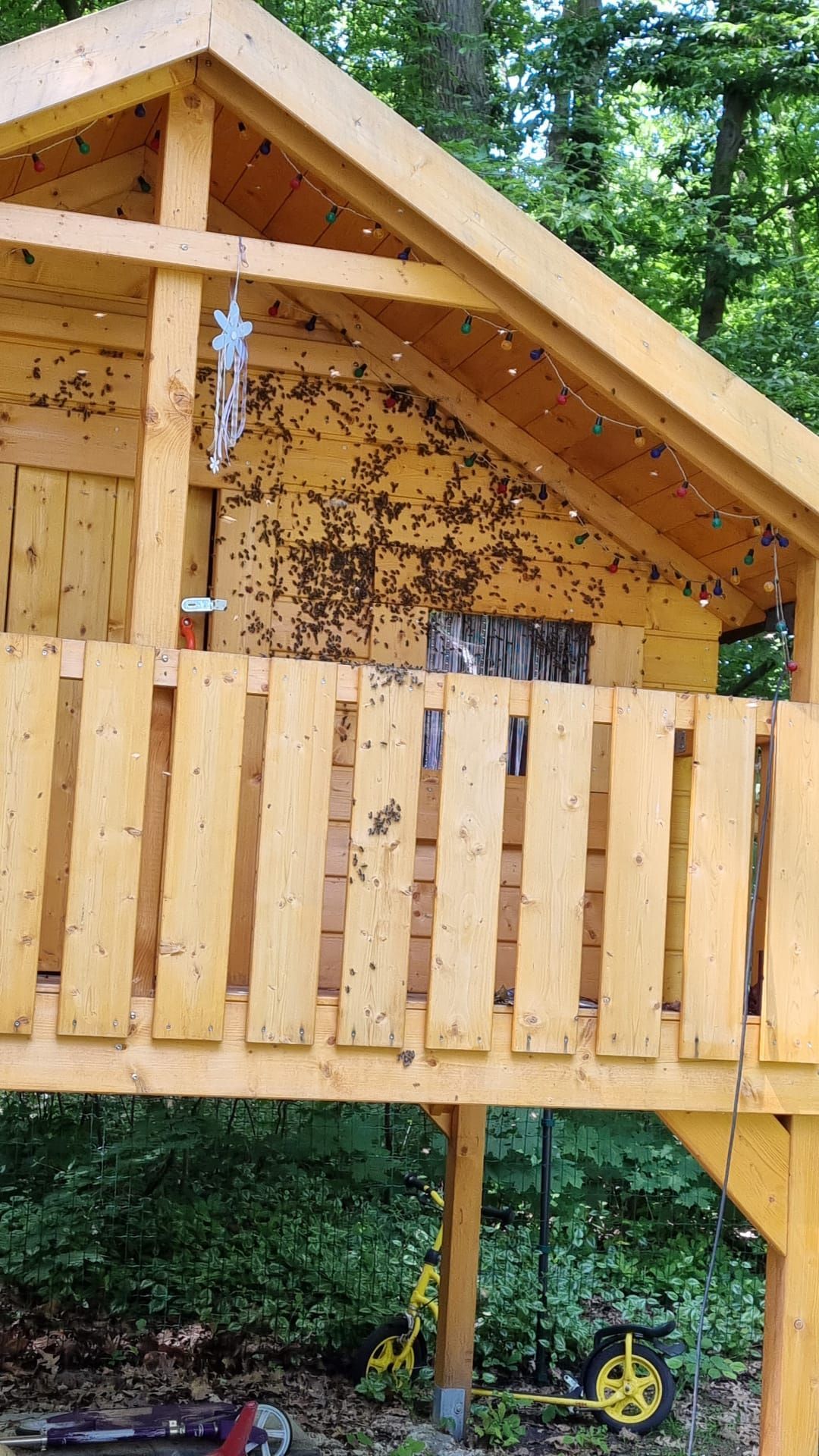 Bienenschwarm in einem Kinderholzhaus