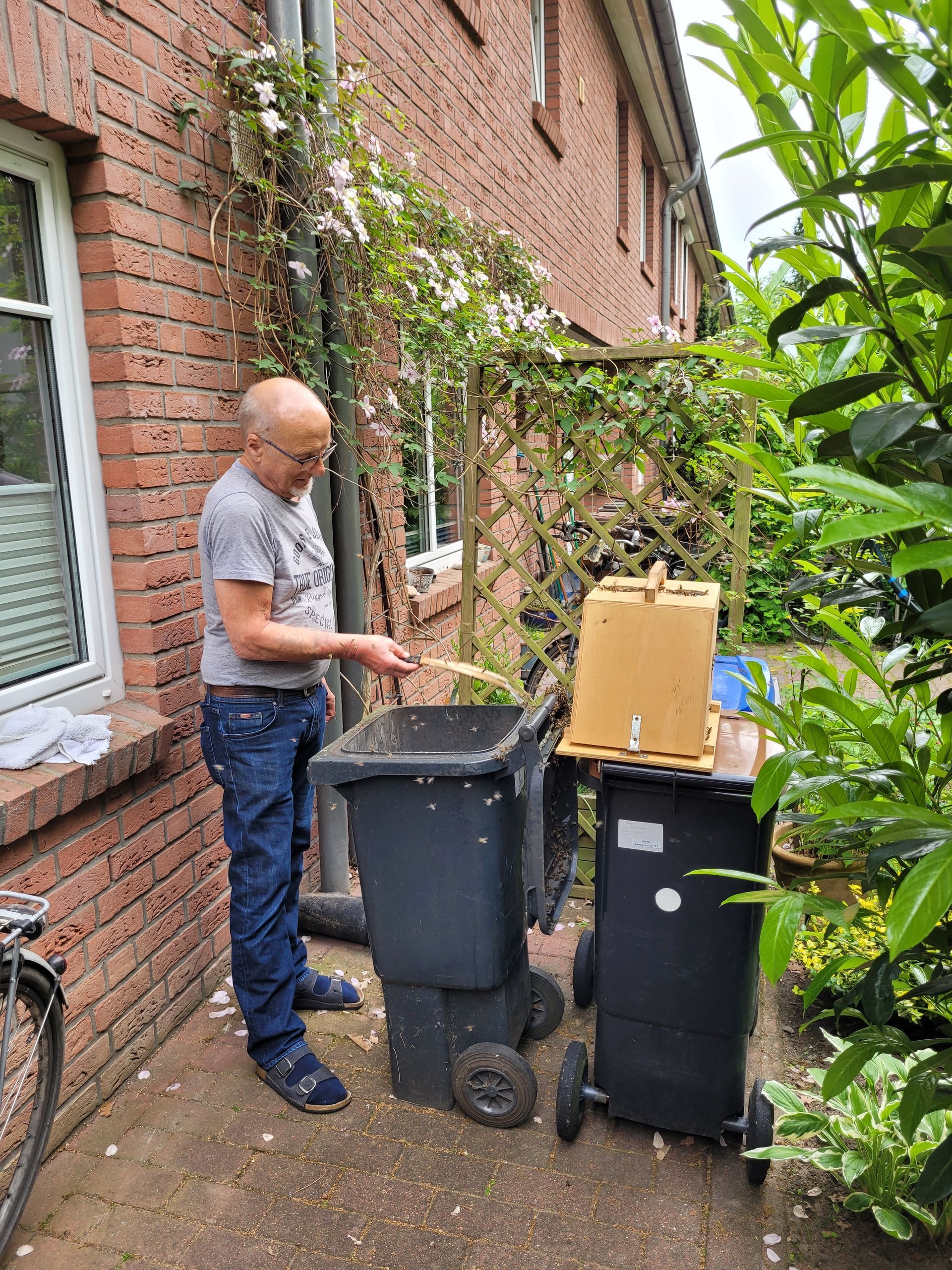 Bienenschwarm aus einem Mülleimer fangen