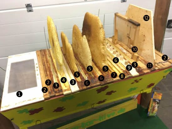 Die Oberträgergalerie Die Oberträgergalerie