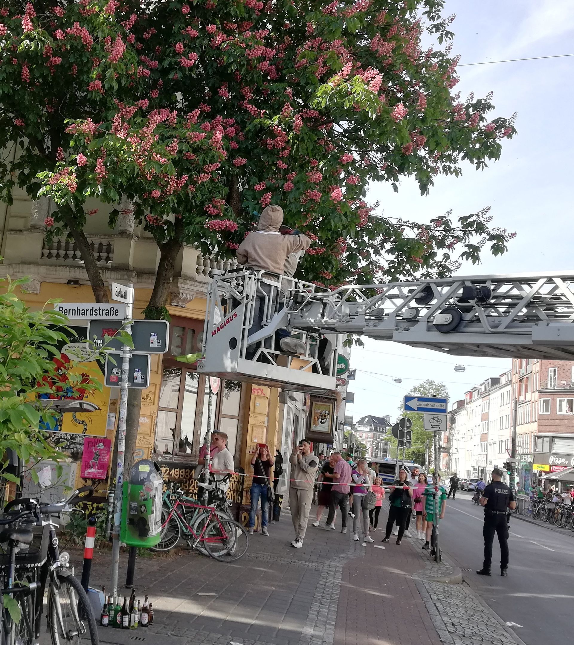 Bienenschwarm Sielwall