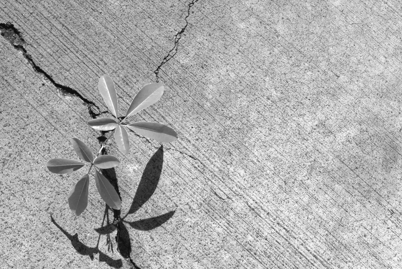 Supervision und Coaching in Rosenheim und München