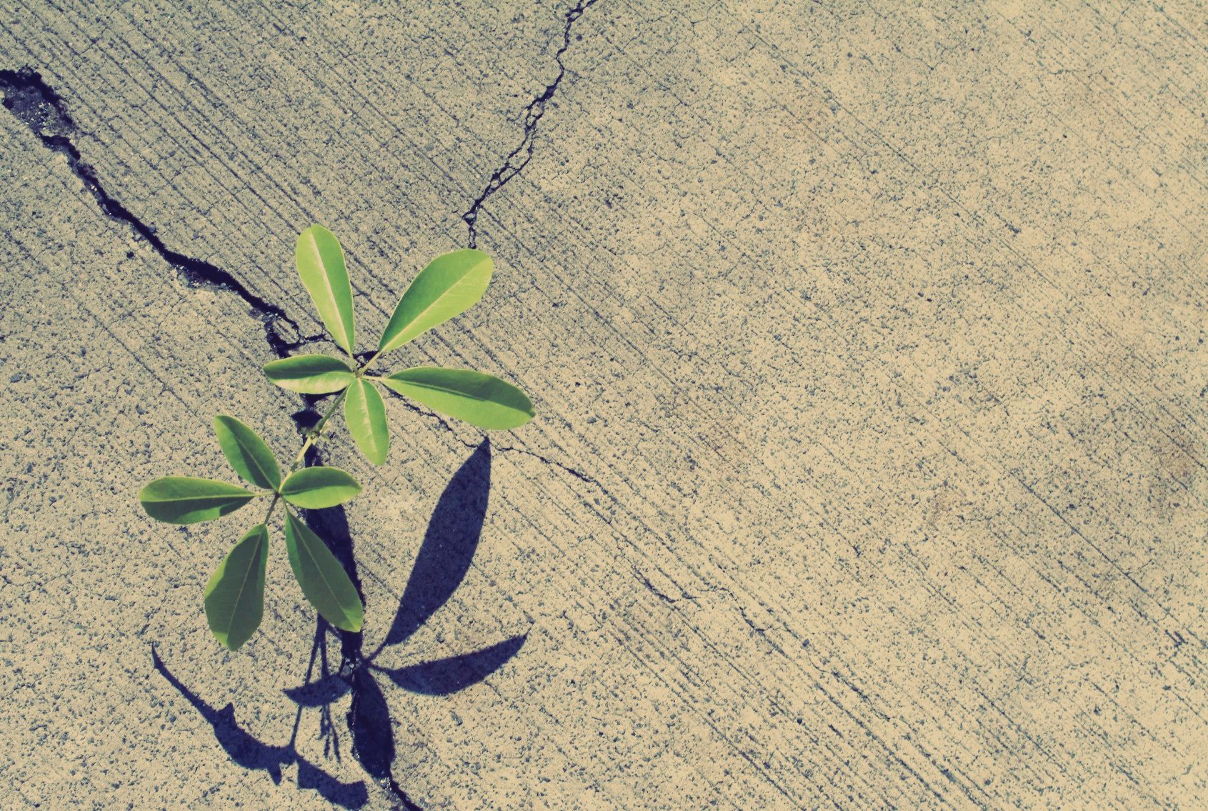 Supervision und Coaching in Rosenheim und München