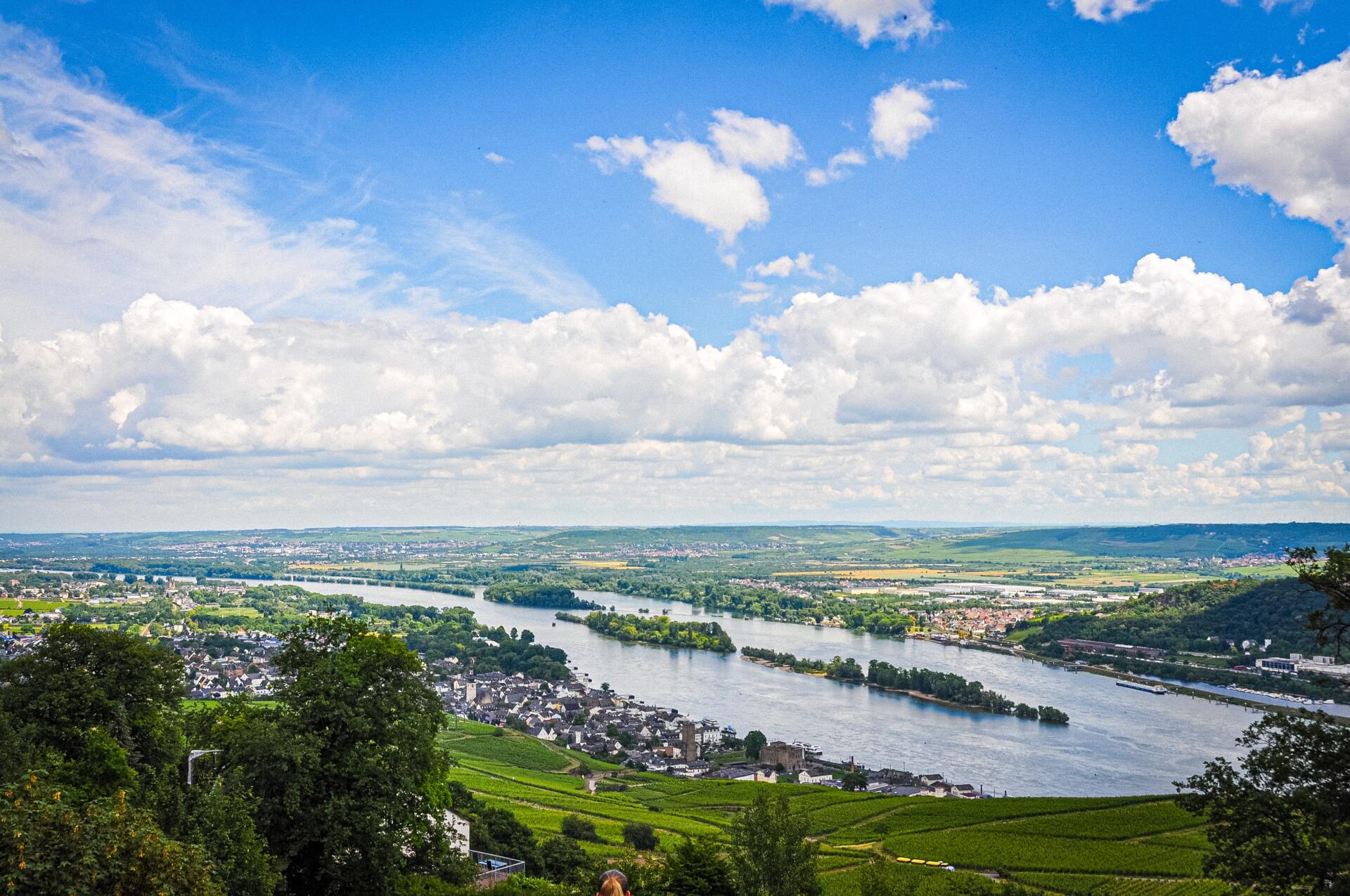 Das Bild zeigt die Ferienwohnung in Rüdesheim am Rhein im Rheingau