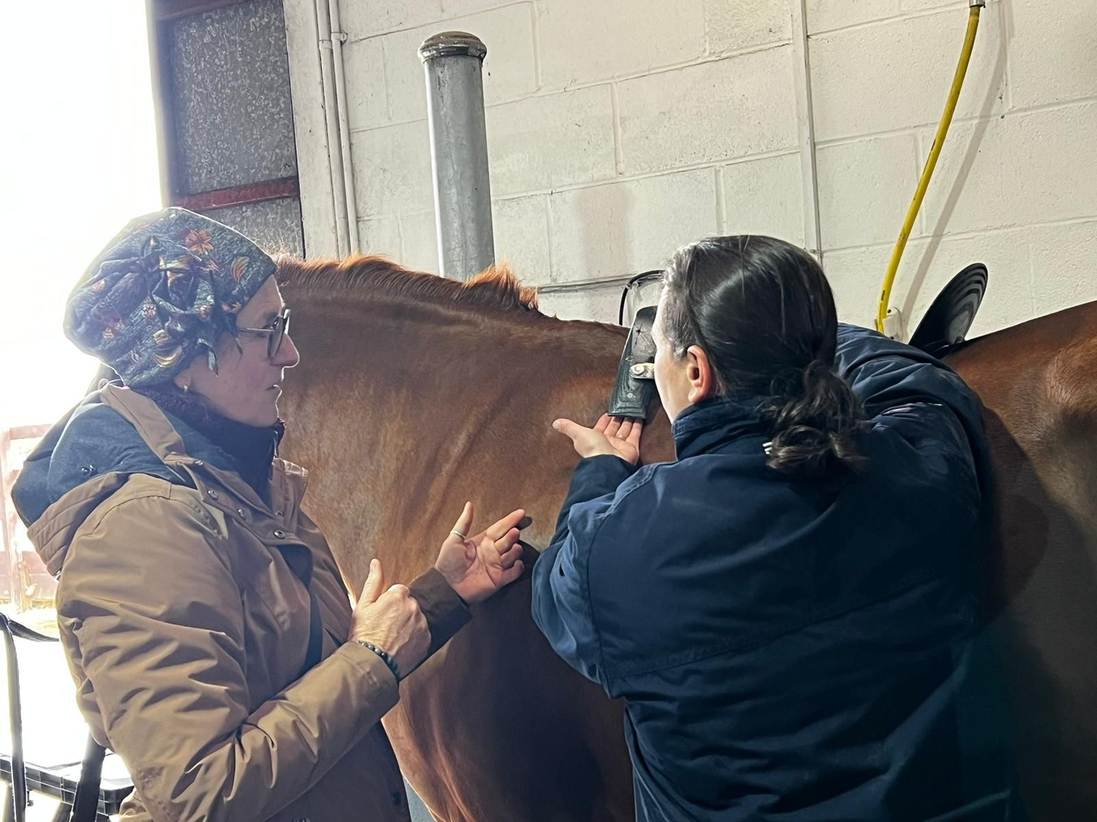 Albion Saddle Makers Partnerschaft mit Albion Sättel