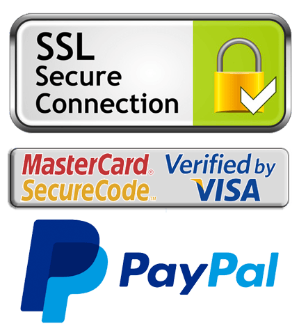 Seguridad Online