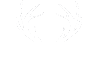 wilderei_logo