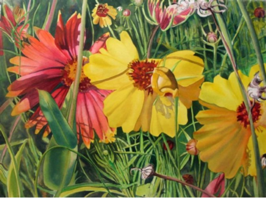 Texas wildflower watercolor painting