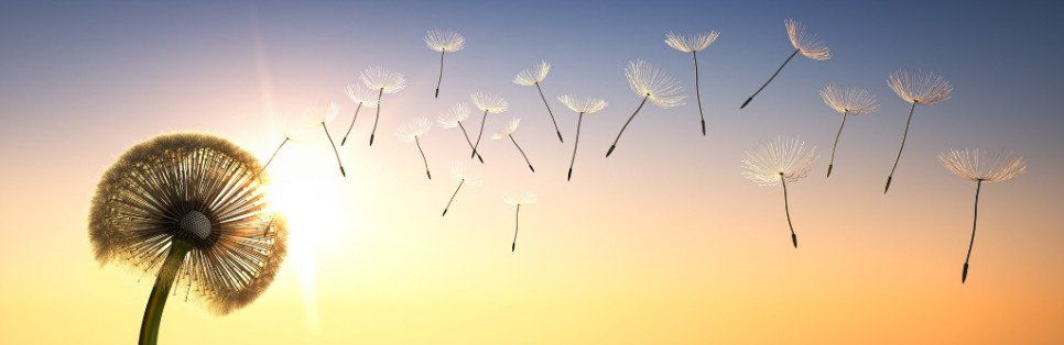 The work - Byron Katie The work - Byron Katie