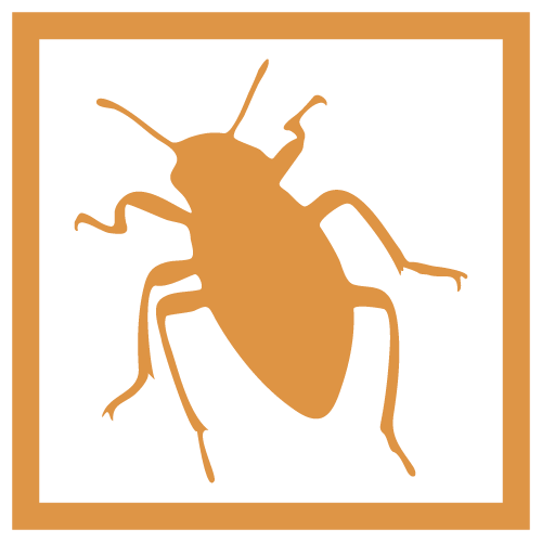 RMA GmbH Schädlingsbekämpfung Monitoring Reinigung Tatortreinigung Biogasanlagen Lüftungshygiene Klimageräte Legionellen