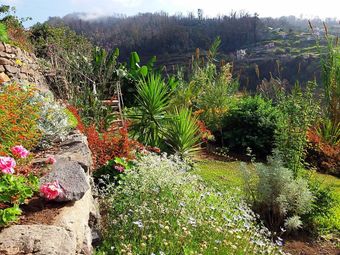 L'île aux fleurs madère l'île aux fleurs