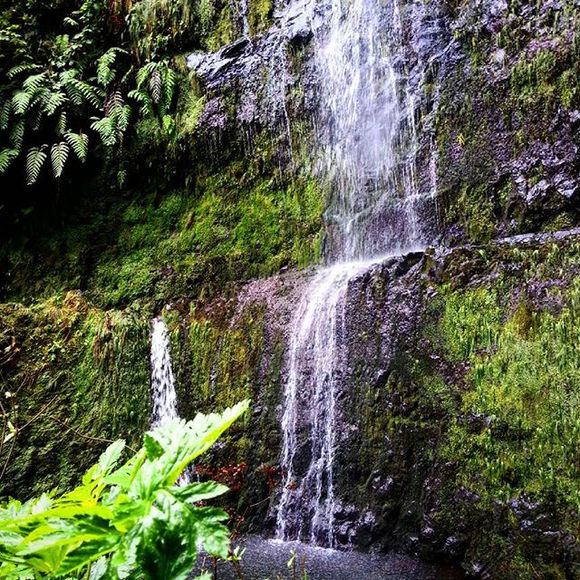 Lisette et Jacky vous accueillent Lisette et Jacky à l'accueil lors de la location de votre gîte