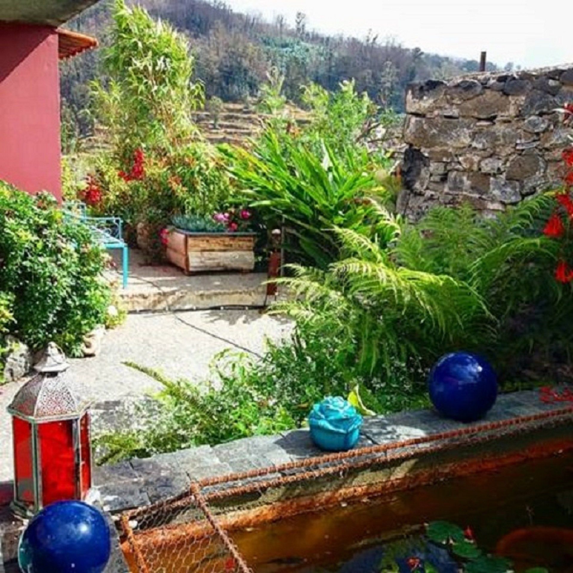 Gîte exotique à Madère