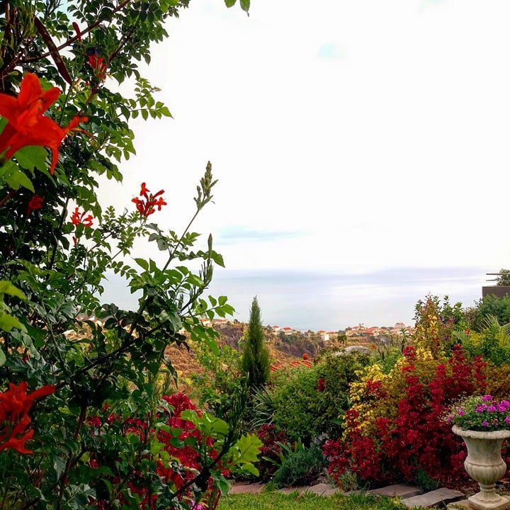 un des plus beau jardin de Calheta
