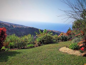 quand vous louez ce gîte, vous avez aussi un jardin aux milles fleurs un vaste jardin aux mille fleurs disponible avec la location de votre gîte