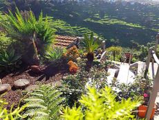 la terrasse du gîte surplombe le jardin location de maison de vacances madere