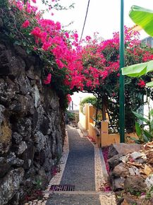 a visiter sur Madère visiter Madère