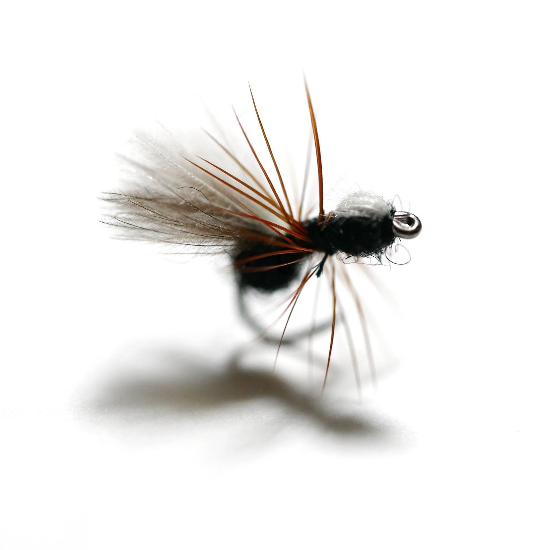 Shimazaki ant mosca seca