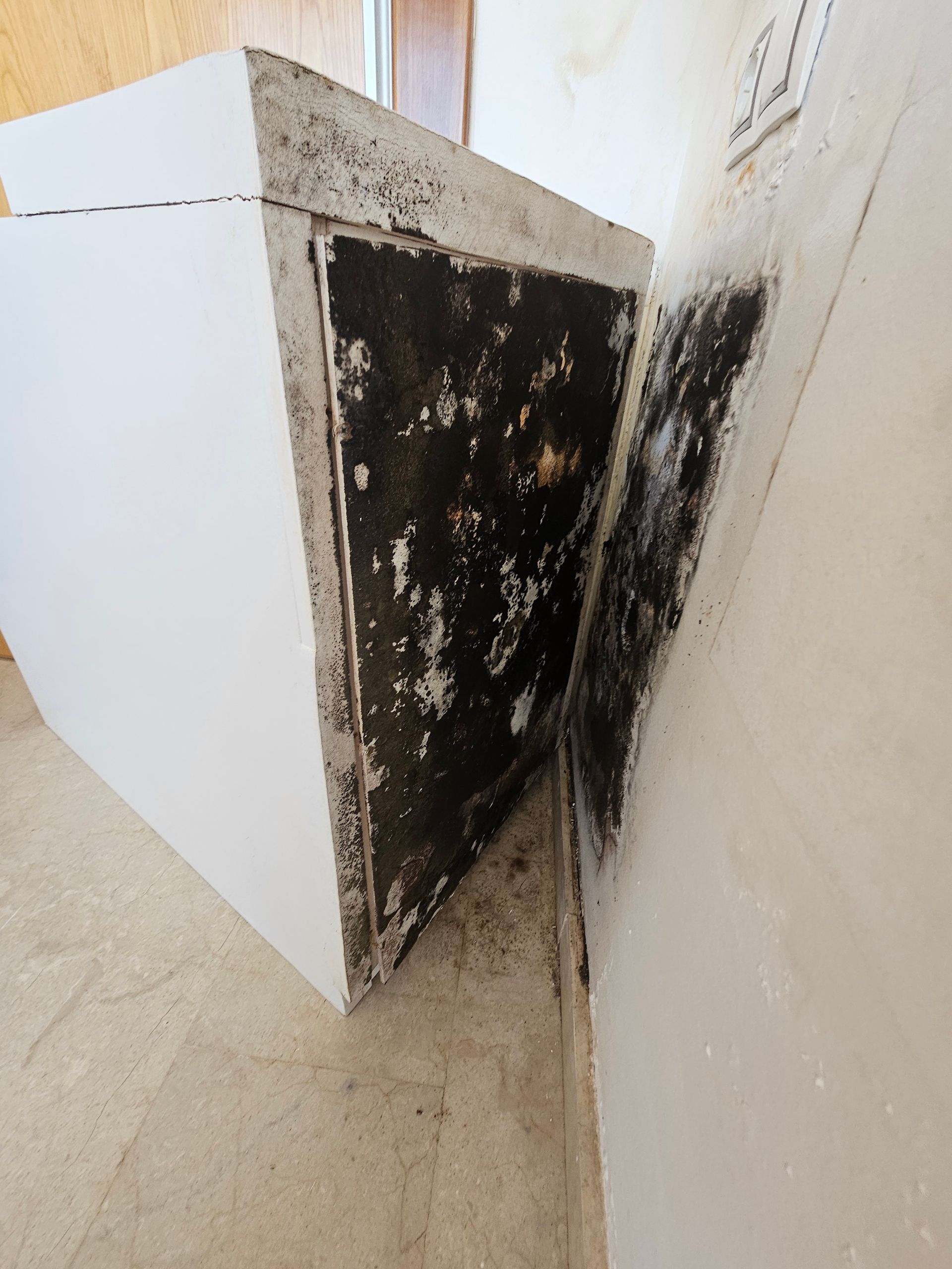 Ambiente Exclusivo | Tu Pintor - Moho y Humedad