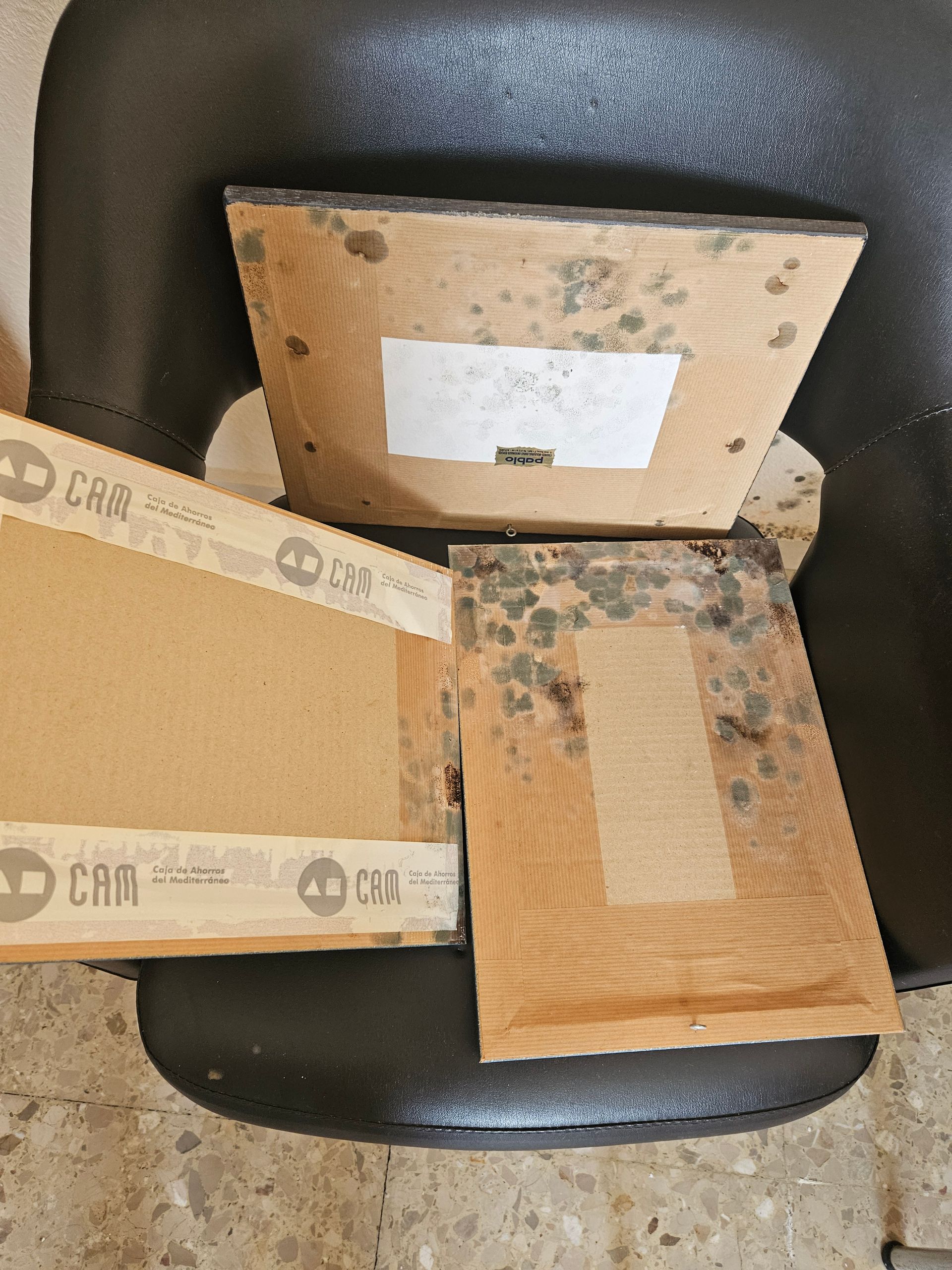 Don Moho by Ambiente Exclusivo | Tu Pintor - Moho y humedad, Pintor profesional en Alicante, Espana