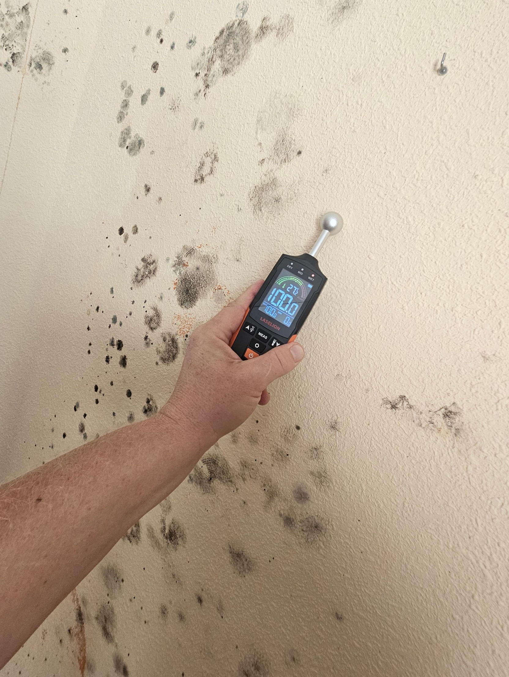 DON MOHO by Ambiente Exclusivo | Tu Pintor