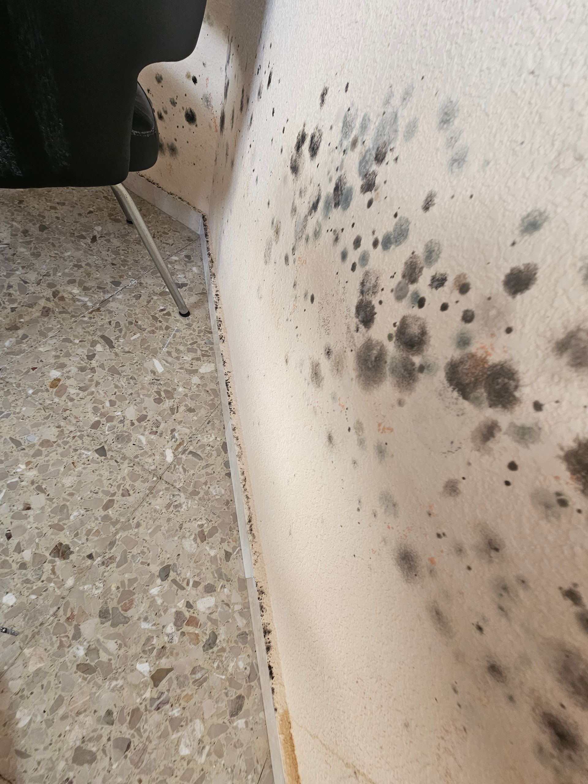 Don Moho by Ambiente Exclusivo | Tu Pintor - Moho y humedad, Pintor profesional en Alicante, Espana