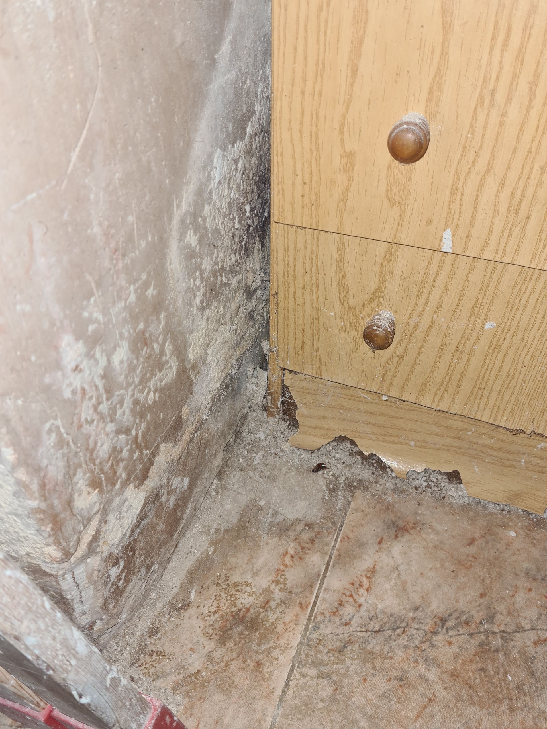 Don Moho by Ambiente Exclusivo | Tu Pintor - Moho y humedad, Pintor profesional en Alicante, Espana