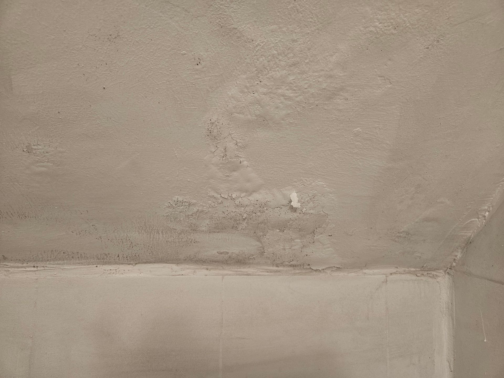 Don Moho by Ambiente Exclusivo | Tu pintor y especialista en moho y humedades en la Costa Blanca.