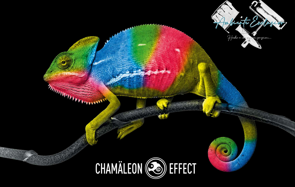 Ambiente Exclusivo | Tu Pintor - CHAMÄLEON EFFECT