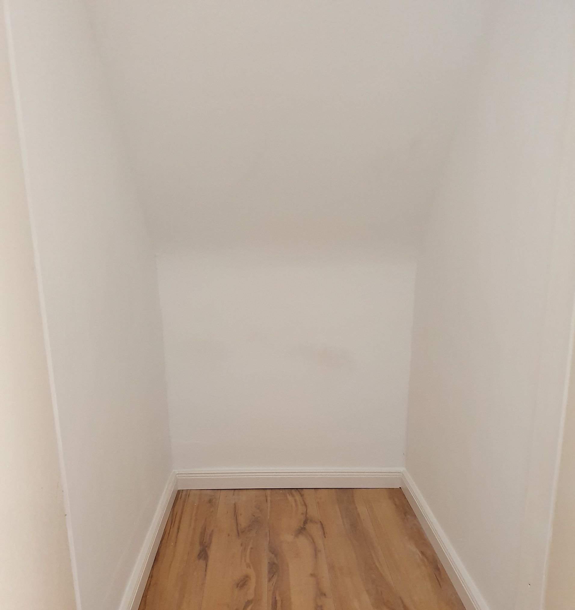 Ambiente Exclusivo | Moho y humedad, Pintor profesional en Alicante, Espana