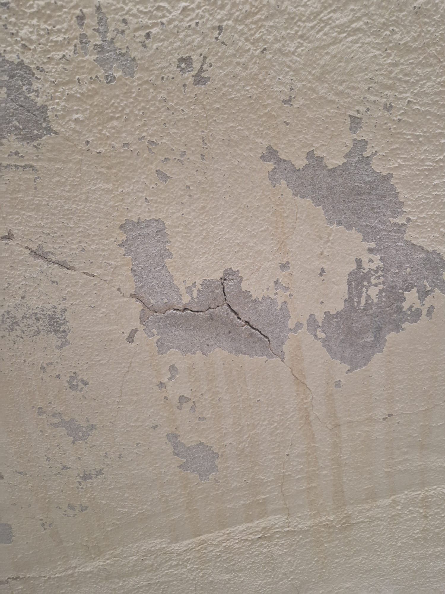 DON CASA Costa Blanca by Ambiente Exclusivo, tu Pintor - SATE incorrecto
