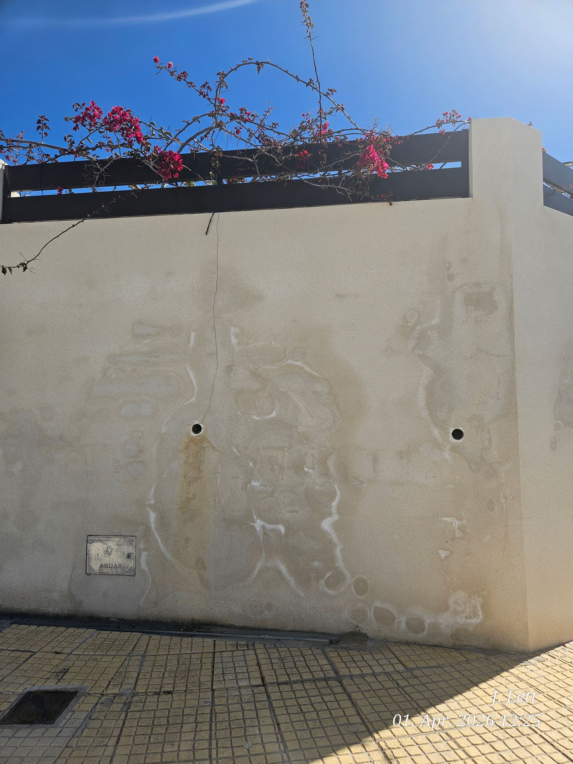 Tratamiento de humedad y moho en paredes antes de pintar en Alicante