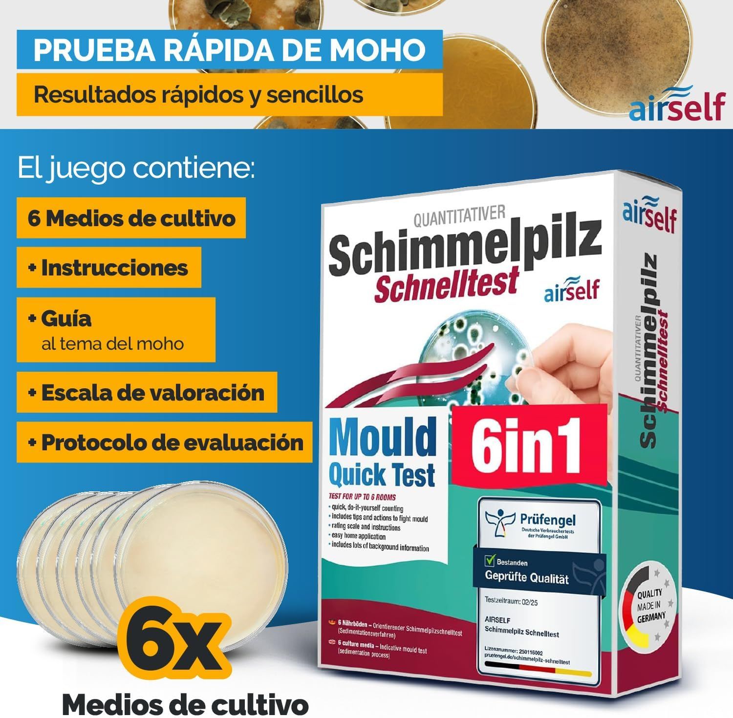 Don Moho by Ambiente Exclusivo | Tu Pintor - Experto Antihumedad, Pintor profesional en Alicante, Espana