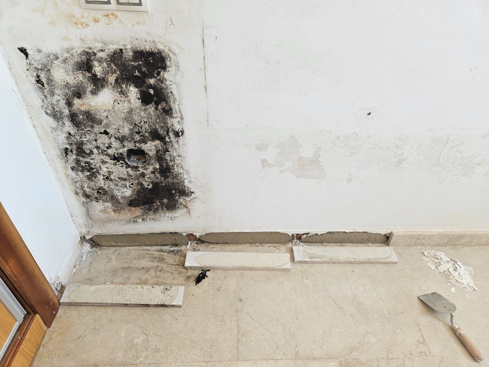 Don Moho by Ambiente Exclusivo | Tu Pintor - Experto Antihumedad, Pintor profesional en Alicante, Espana