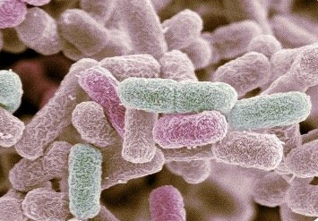 entretien anticancéreux