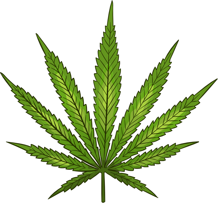 Bild eines Cannabisblattes