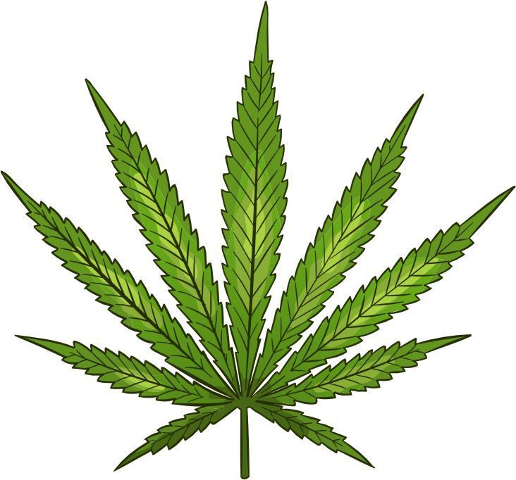 Bild eines Cannabisblattes für medizinische Zwecke, Cannabisblüten auf Rezept.