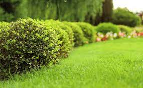 Entreprise espace vert - PARCS ET JARDINS