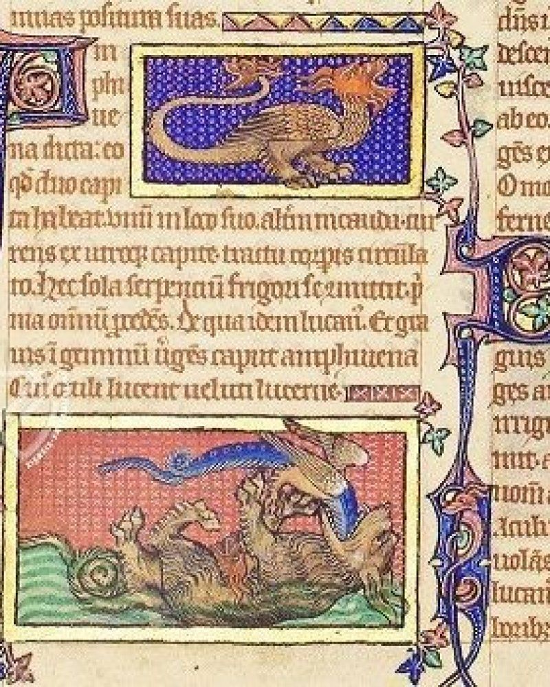 Das Bestiarium von Peterboroug