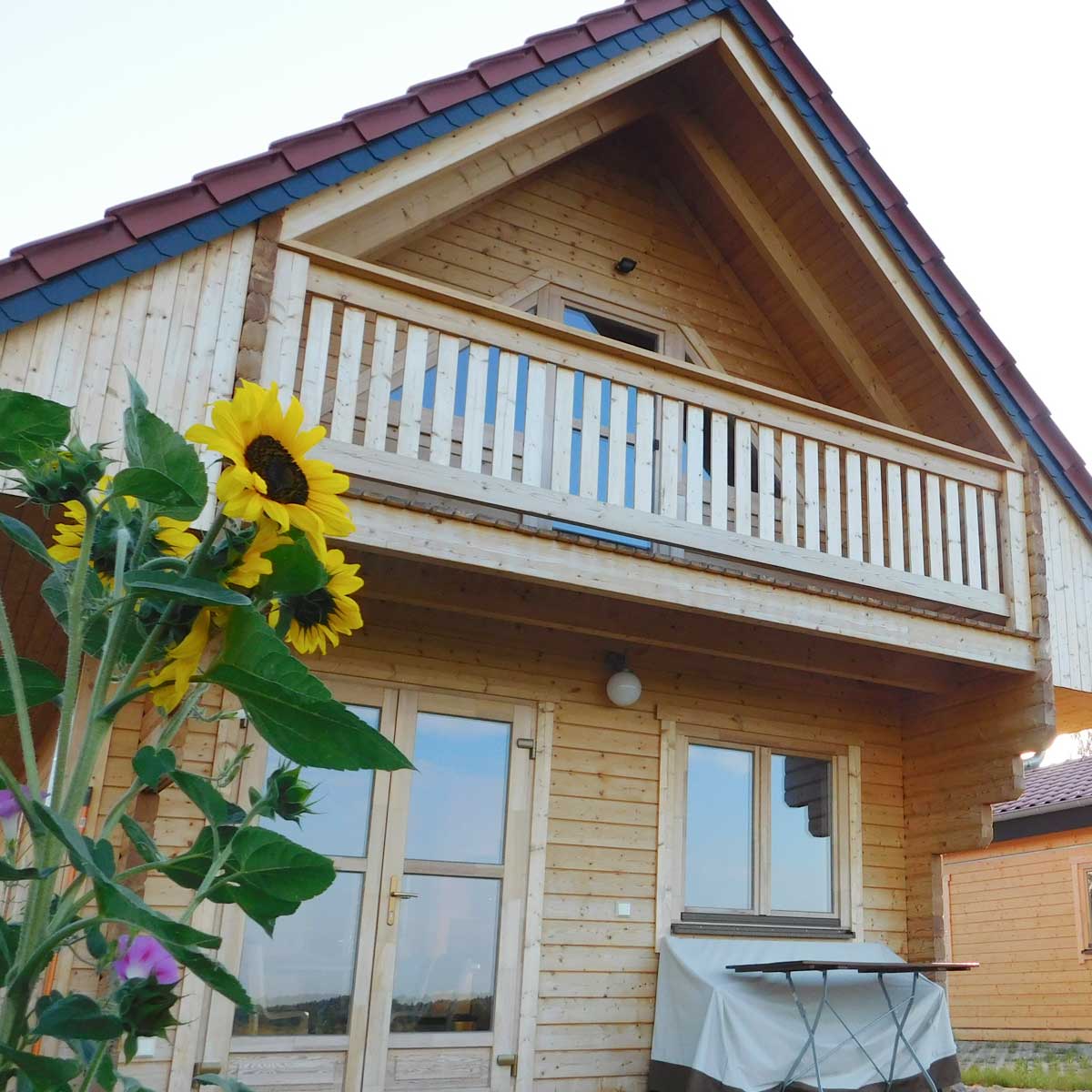 Ferienblockhaus Luise Ferienblockhaus Luise