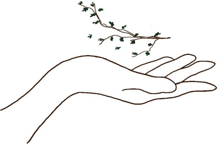 Regala experiències natura