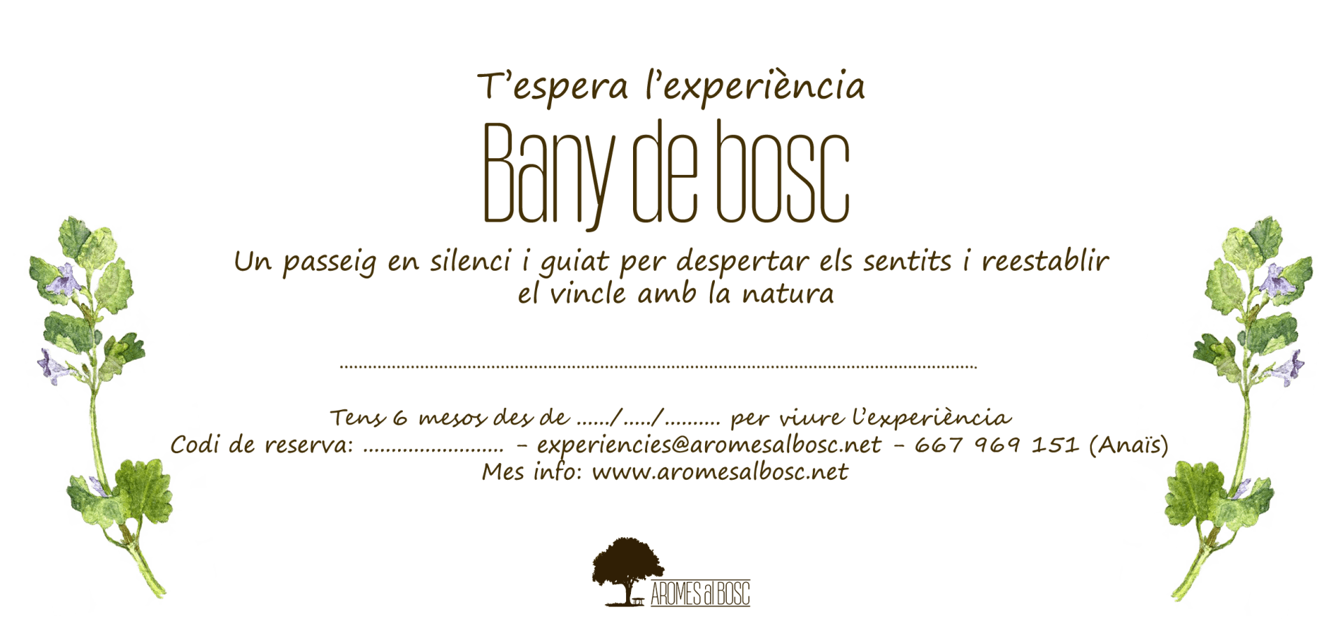 Val regal experiència bany de bosc connexió natura