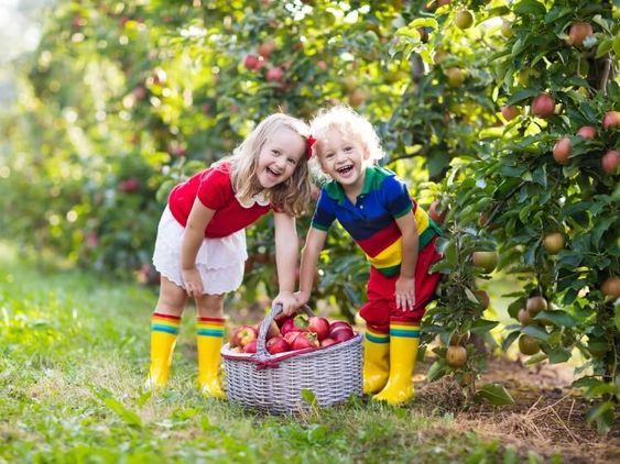 enfants vergers