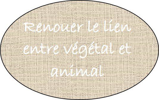 végétal et animal