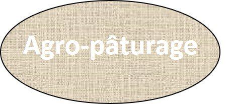 agro paturage