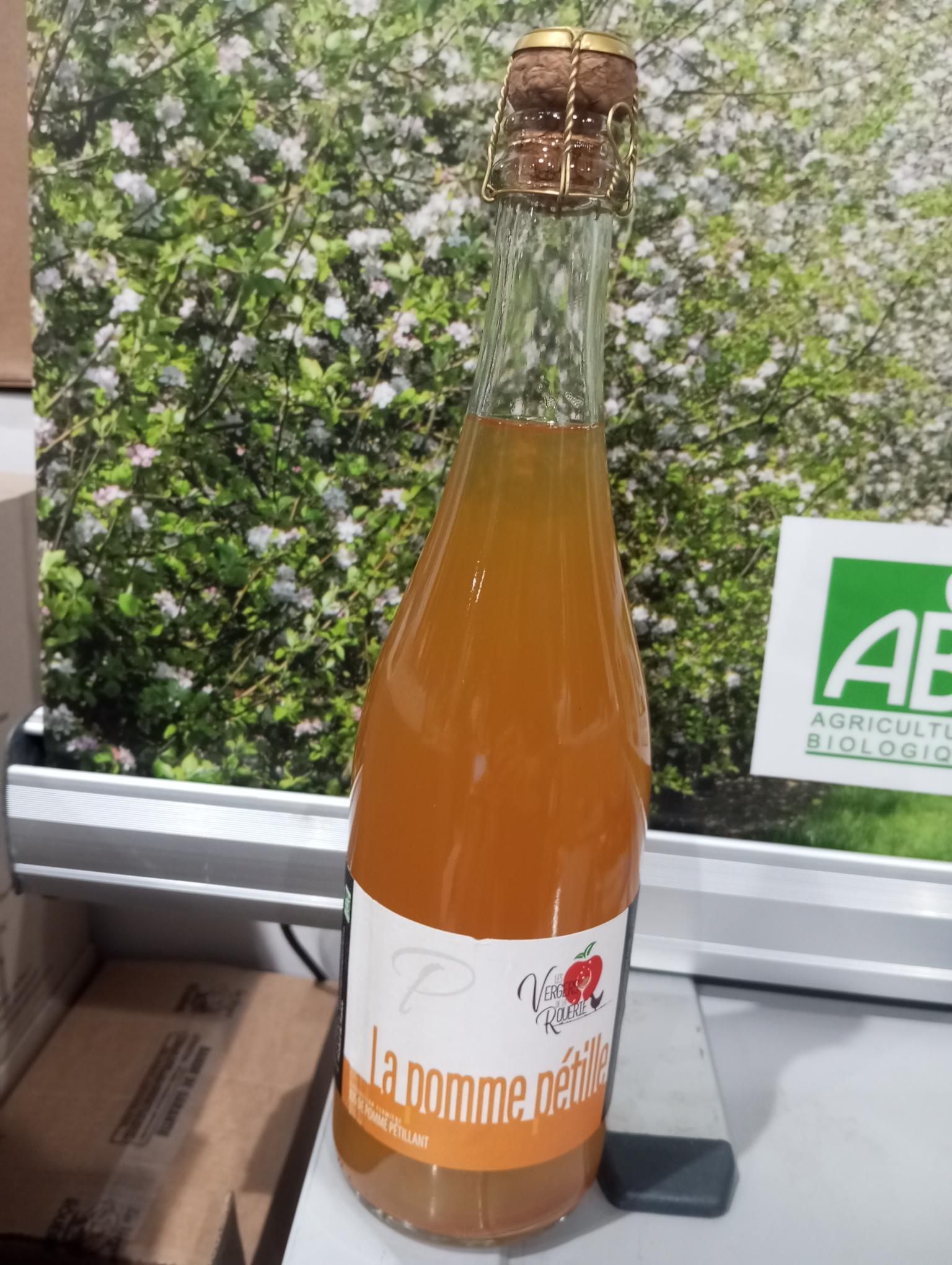 apéritif rosé