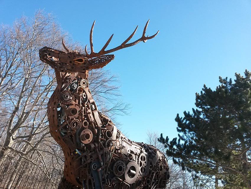 cerf ventoux